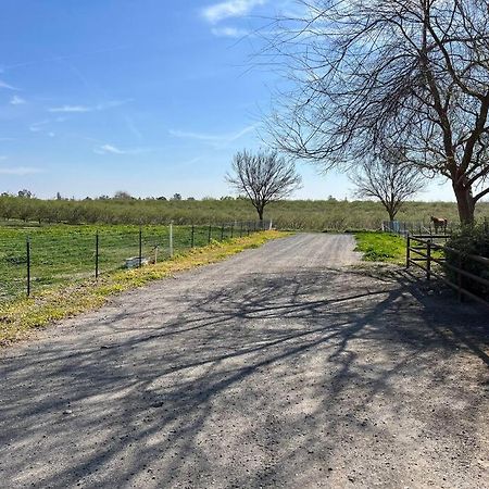 Adorable 1 Bedroom With Pool, And Horse Arena Oakdale Exteriör bild