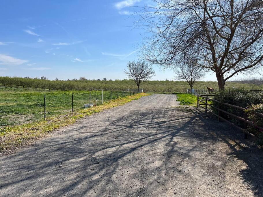 Adorable 1 Bedroom With Pool, And Horse Arena Oakdale Exteriör bild